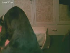 She is given a humped